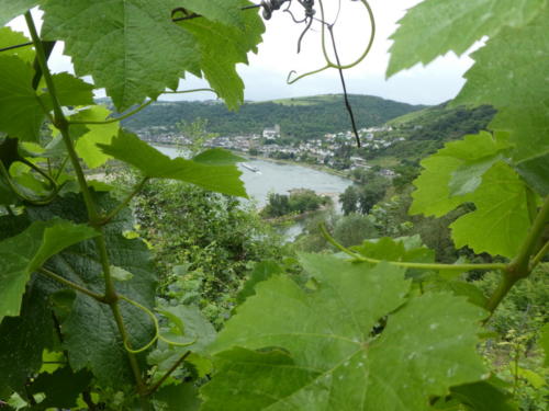 Blick auf Oberwesel