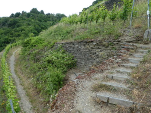 Auf dem Oelsbergsteig