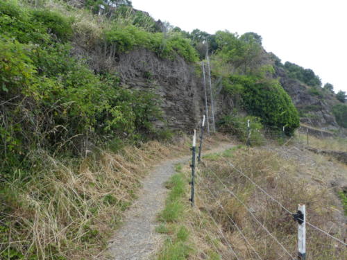 Auf dem Oelsbergsteig