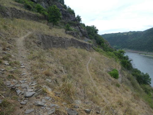 Auf dem Oelsbergsteig