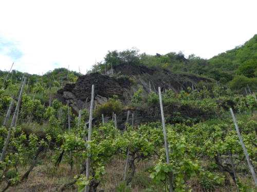 Schroffe Felsen und Terassen mit Weinreben
