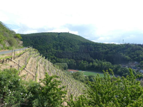 Blick auf Dernau und zum Krausbergturm