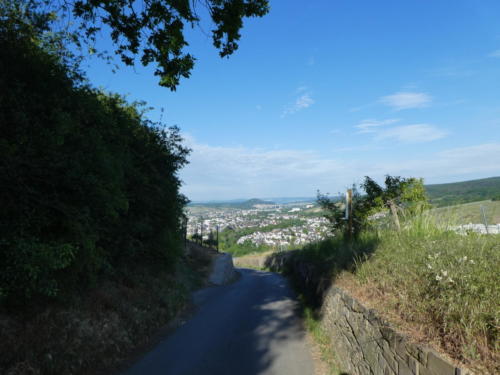 Der Blick auf Ahrweiler mit der markanten Hochbrücke der A61 eröffnet sich