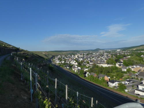 Blick über Ahrweiler