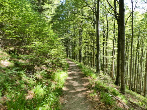 Wanderweg