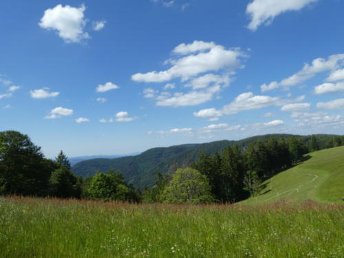 Ausblick