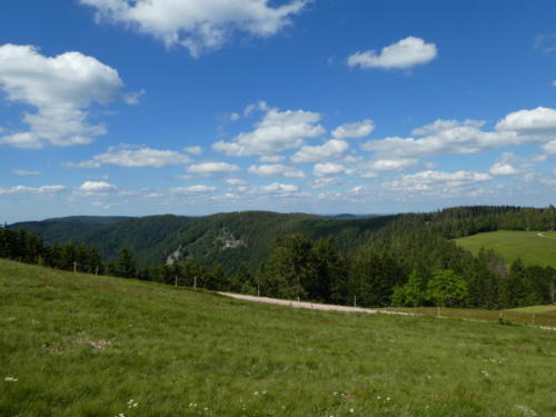 Ausblick