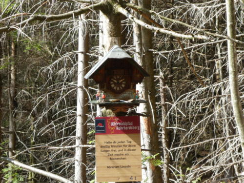 Eine von vielen Überraschungen auf dem Wanderweg