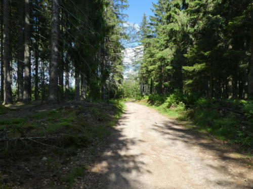 Wanderweg