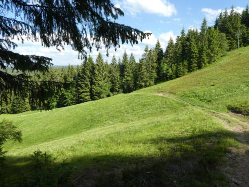 Der Wanderweg führt einmal quer über den Skihang