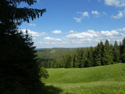 Ausblick