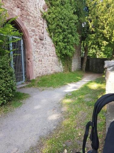 Ruine am Schloss Neuenburg