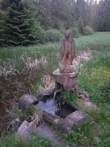 Quelle / Brunnen im Wald