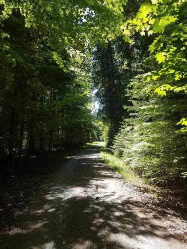 Wanderweg im Schwarzwald