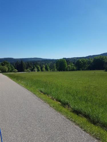 Wanderweg und Ausblick im Schwarzwald