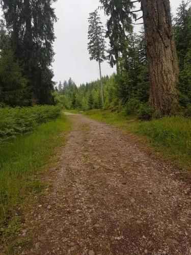 Wirtschafts- & Wanderweg