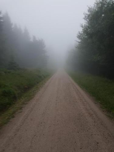 Wanderweg in den Nebel...