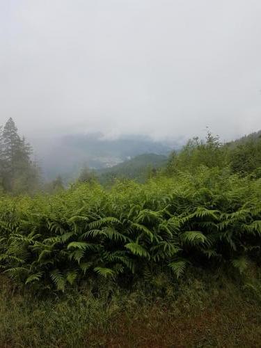 Bei gutem Wetter bestimmt eine super Aussicht!