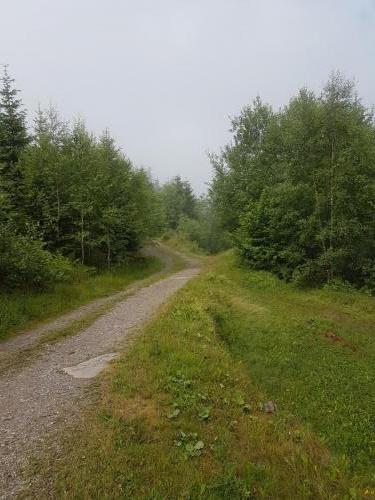 Wanderweg