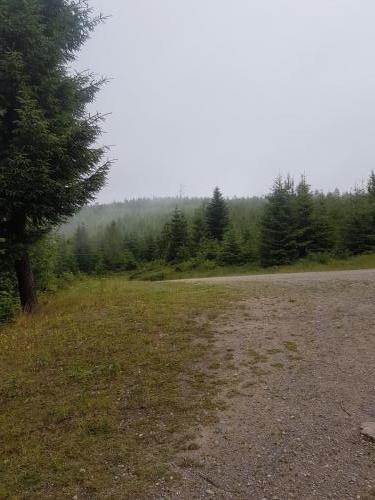 Hoch oben im Schwarzwald...