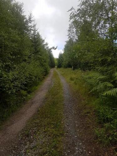 Wanderweg