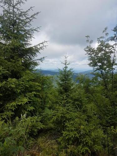 Ausblick