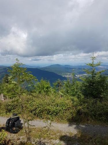 Ausblick