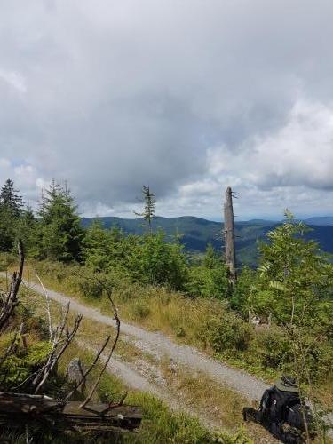 Wanderweg