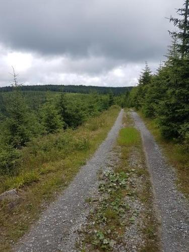 Wanderweg