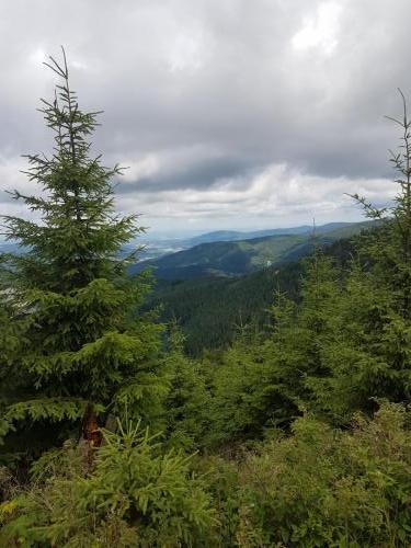 Ausblick