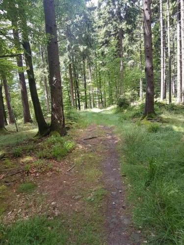 Wanderpfad