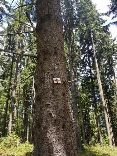 Ständiger begleiter: Das Zeichen des Westweges