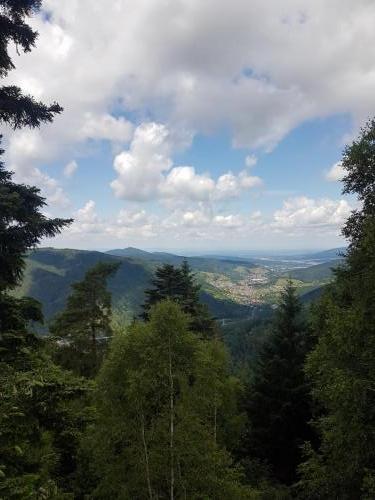 Ausblick