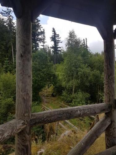Blick von der Latschighütte zum Wald