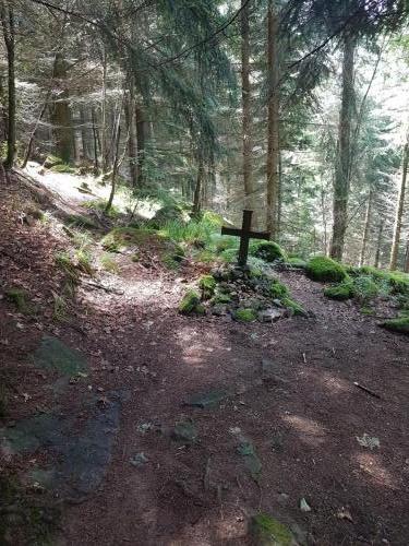 Kreuz mitten im Wald
