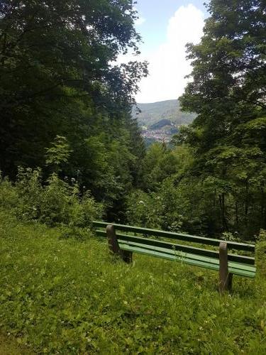 Rast mit Ausblick