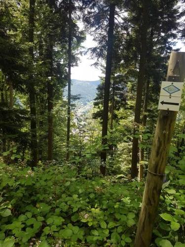 Ausblick auf Forbach