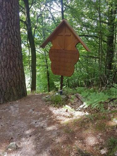 Infotafel im Wald