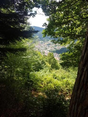 Ausblick auf Forbach