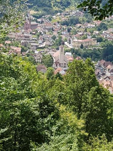 Ausblick auf Forbach
