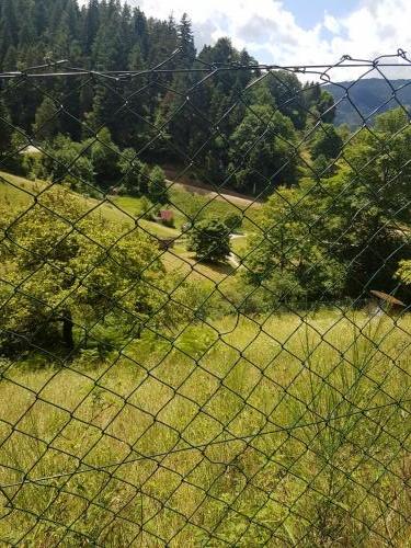 Unten im Tal vor Forbach.