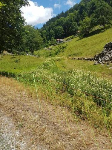 Kurz vor Forbach, das Heuhüttental