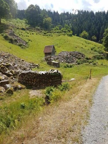 Kurz vor Forbach, das Heuhüttental