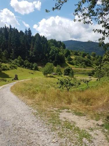 Kurz vor Forbach, das Heuhüttental