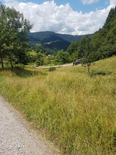 Kurz vor Forbach, das Heuhüttental