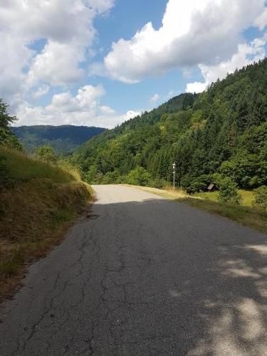 Die erste befestigte Straße seit langem