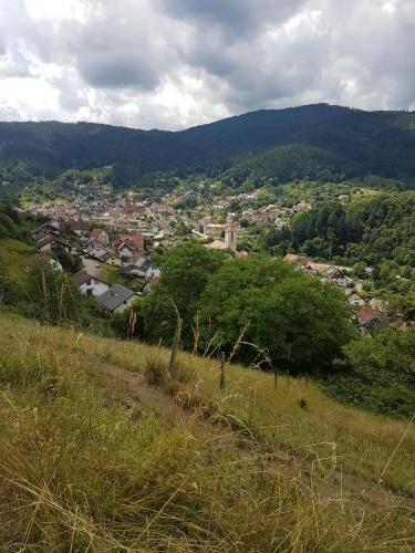 Blick auf Forbach