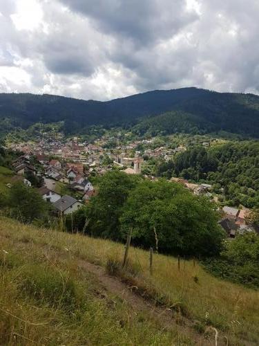 Blick auf Forbach