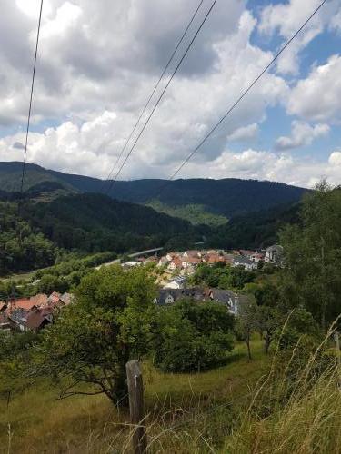 Blick auf Forbach