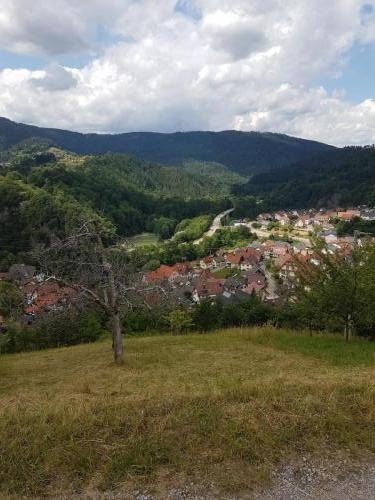 Blick auf Forbach
